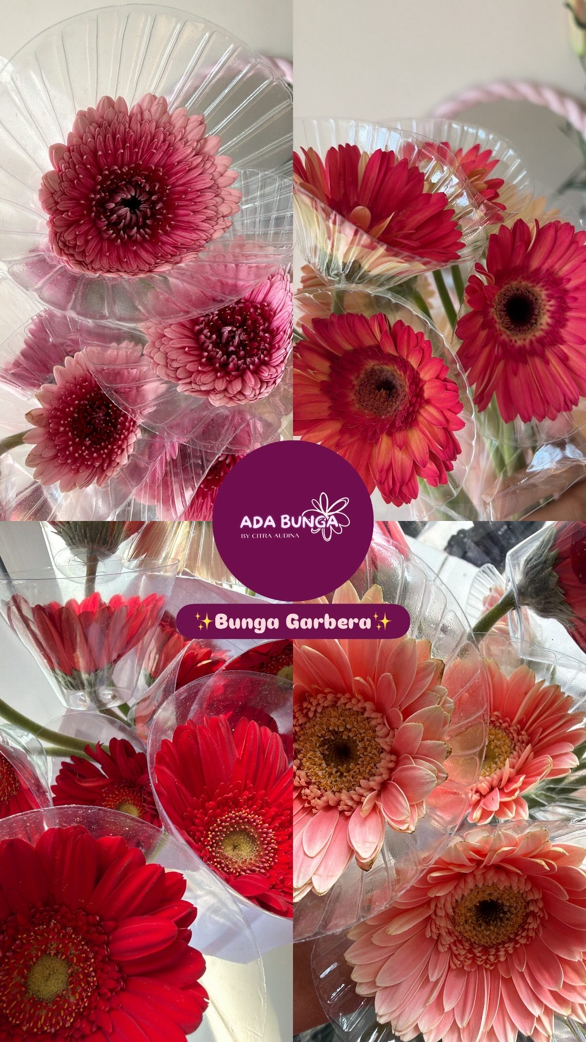 Rustic Blooms