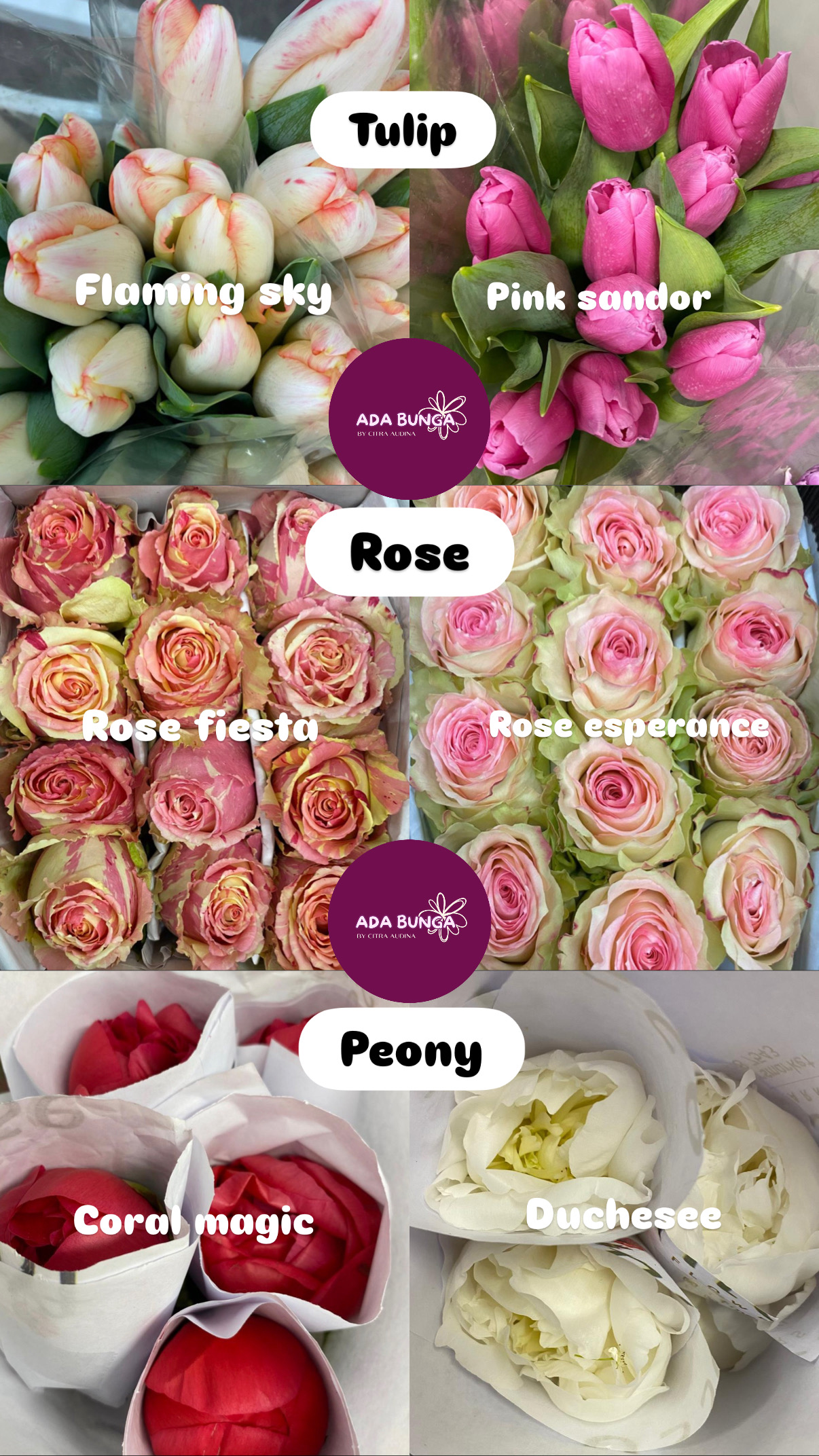 Rustic Blooms